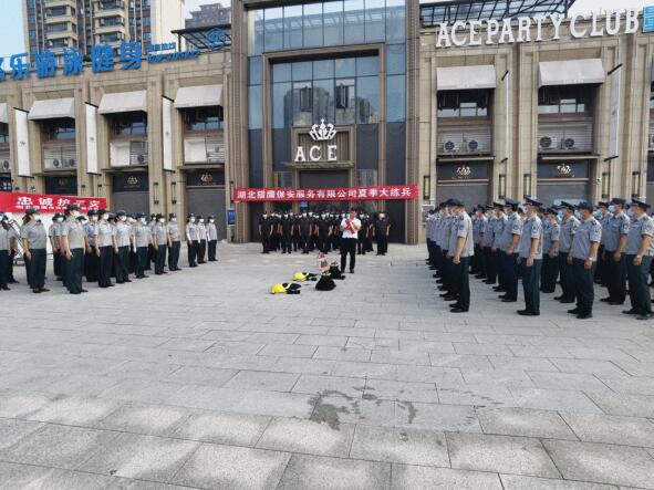 轉(zhuǎn)載：颯！酷！高溫下的襄陽街頭驚現(xiàn)一群“獵鷹”！